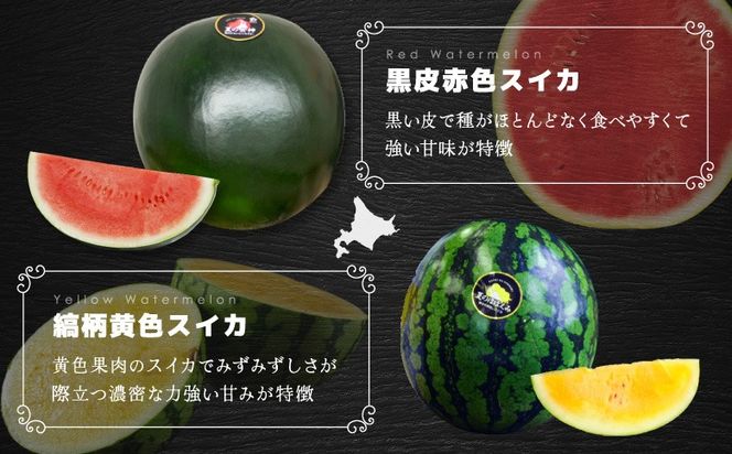 《2026年分受付中》秋に収穫される赤色スイカor黄色スイカ2～4玉(約9kg)【01149】