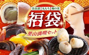 福袋 里山満喫セット （ 餅 / 漬物 / 焼き菓子 ） 《築上町》 和ギフト もち 奈良漬け 和菓子 正月[ABZY017]