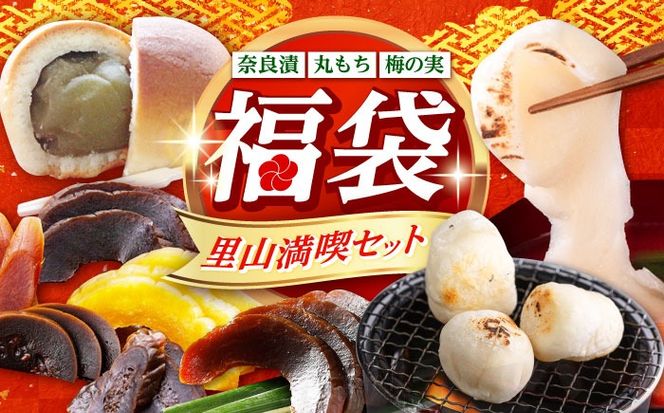福袋 里山満喫セット （ 餅 / 漬物 / 焼き菓子 ） 《築上町》 和ギフト もち 奈良漬け 和菓子 正月[ABZY017]
