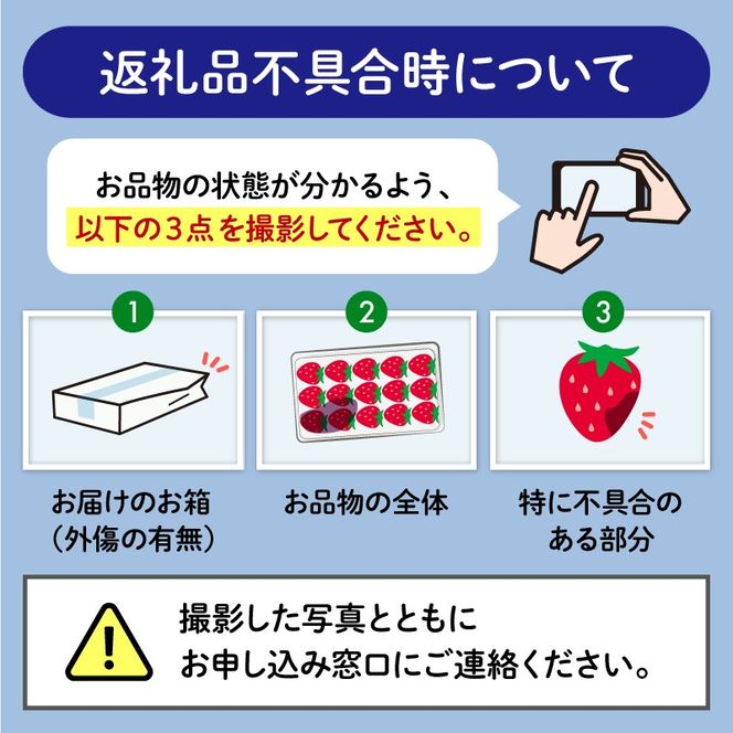 いちご やよい姫 約1.2kg 300g×4パック  完熟 苺 産地 直送 フレッシュ イチゴ 贈答 フルーツ 果物 国産 静岡 静岡県 藤枝市 ふるさと人気 人気いちご ふるさと納税いちご ふるさといちご furusatoいちご おすすめいちご  【 先行予約 : 2026年4月発送予定 】