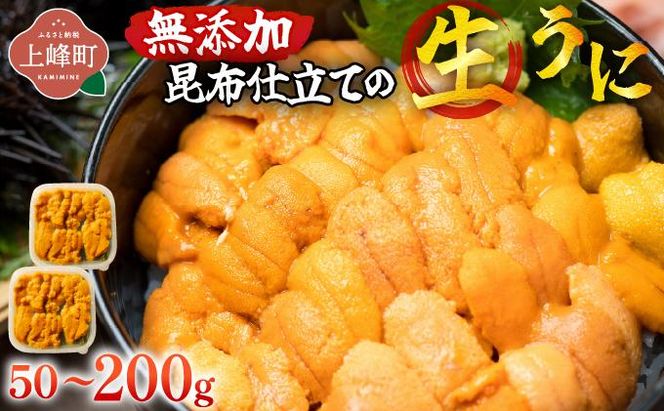 【選べる内容量】無添加 昆布仕立ての生うに50g （1P/2P/4P）| 生うに 無添加 うに 昆布仕立て 50g 刺身用 海鮮 冷凍 お取り寄せ ギフト 人気 高級 ご褒美用 海鮮丼用 ウニ丼用 高級食材