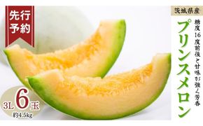 《 先行予約 》 プリンス メロン 3L 6玉 ( 約 4.5kg ) 【 2026年5月下旬発送開始 】 果物 フルーツ 3Lサイズ プリンスメロン ノ―ネットメロン 赤肉 めろん 人気 期間限定 旬 国産 厳選 [DV013us]
