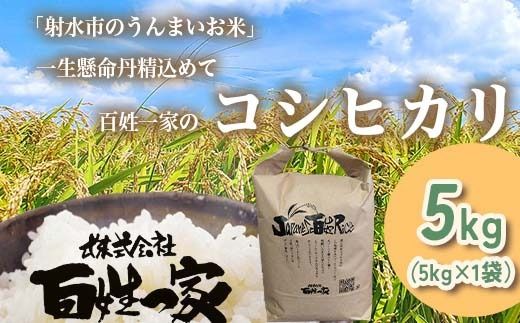 【射水市】【射水の美味しいお米】R8年産 百姓一家のコシヒカリ 5kg【精米】 ※2026年10月～発送
