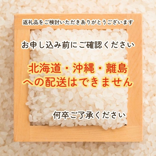 【12回定期便】京都 亀岡産 きぬひかり 「こぞう米」 5kg × 12ヶ月 合計60kg 毎月お届け《米 令和6年産 生活応援 訳あり》※北海道・沖縄・離島への配送不可