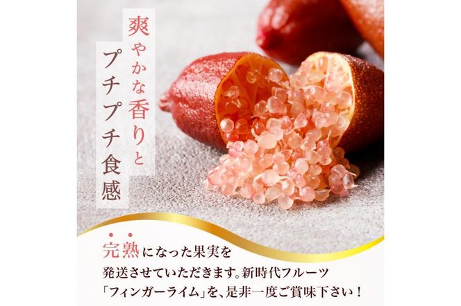 y򕌌sztBK[C@150g@y0094-004z