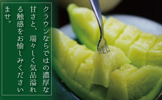 【12ヶ月定期便】数量限定！『クラウンメロン ”名人メロン” 1玉 』 メロン 人気 厳選 ギフト 贈り物 デザート グルメ フルーツ 果物 袋井市 果物類 メロン青肉 