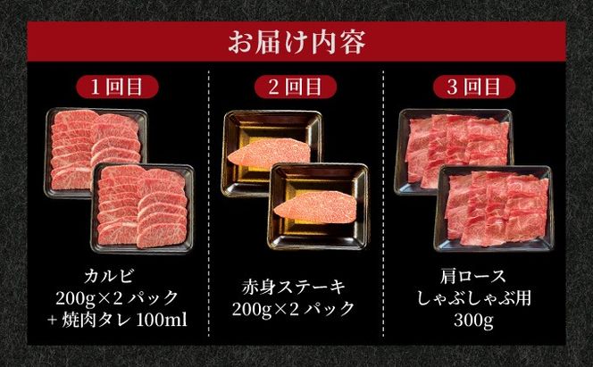 【2025年11月以降順次発送】希少な特選石垣牛をご家庭で！！全3回合計1.1kg　カルビ、赤身ステーキ各400gずつ、肩ロースしゃぶしゃぶ用300g &石垣牛 MARU秘伝の焼肉タレ100ml×1本