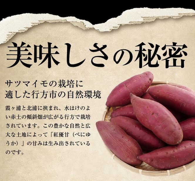 AE-30 『天皇杯受賞』さつま芋使用 紅優甘平干し芋1.4kg