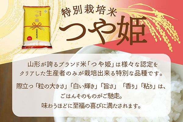 【新米受付】令和8年産 特別栽培米 つや姫 無洗米 5kg 5kg×1袋 2026年産 ブランド米 米 国産 単一原料米 山形 庄内平野 コシヒカリの原点、亀の尾発祥の地 庄内【R8.10月以降発送開始/入金期限：2026年9月15日】