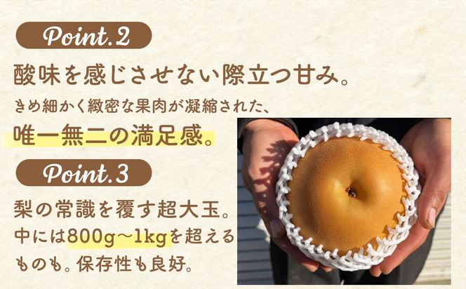 【先行予約】梨(にっこり) 4玉～7玉入り×1箱 (4.5kg以上) ※2026年10月上旬～11月下旬頃に順次発送予定