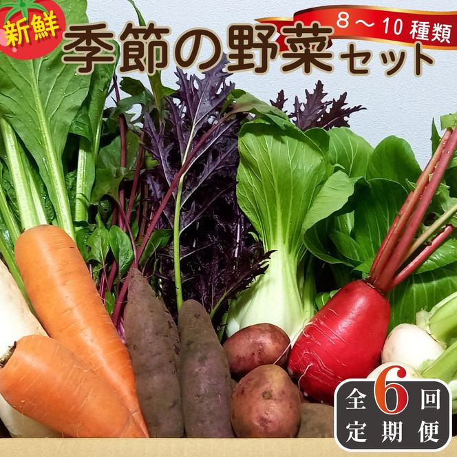 【定期便 全6回】季節の野菜詰め合わせセット（新鮮 採れたて 野菜 セット 定期便 詰め合わせ 宮崎県）