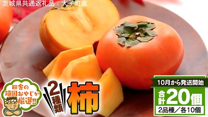 y錧΂݂炢sz` 2 Zbg y10甭Jnz i錧ʕԗiFqYj cɂ̊ł₶II t[c ʕ  [BI331-NT]