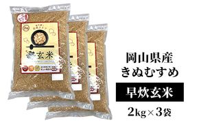 令和7年産 早炊 玄米  きぬむすめ 2kg×3袋 岡山県産　お米 国内産 ご飯 おにぎり お弁当 和食 国産 産地直送 玄米食 玄米の栄養素 