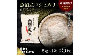【通年受付】≪令和8年産≫ 農家直送！魚沼産コシヒカリ「白羽毛の米」精米 (5kg×1袋) 5kg お米 白米 ご飯