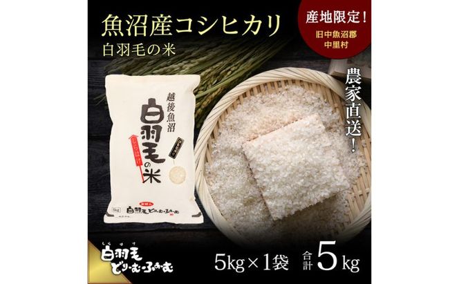 【通年受付】≪令和8年産≫ 農家直送！魚沼産コシヒカリ「白羽毛の米」精米 (5kg×1袋) 5kg お米 白米 ご飯