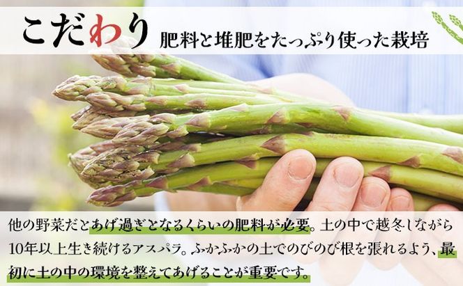 ＜先行予約＞あまーい！北海道産夏アスパラ(A品) 1kg【ffk-003】北海道 伊達市 野菜 新鮮 アスパラガス ふるさと納税 送料無料