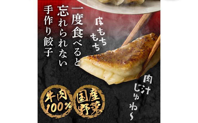 【A07008】華永餃子セットF（かぼす×2、一口×1、華々×1） 計62個