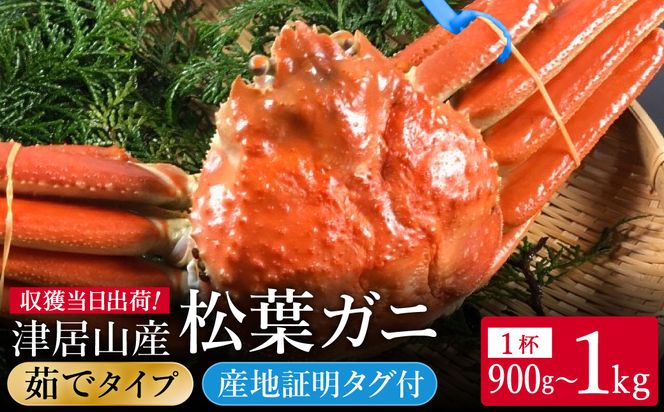 �y���Ɍ��L���s�z���ԁE���ʌ��� �^�O�t�� �Ë��R�Y ���t�K�j 1�t / 䥂� 900g�`1kg / �V�N ���t���� ���t�I �Y���C�K�j ���킢���� ���� �J�j �I �{�C�� �① �C�N ������ �O���� ���Ɍ� �L���s �Ë��R���` �A�n���Ƌ����g��