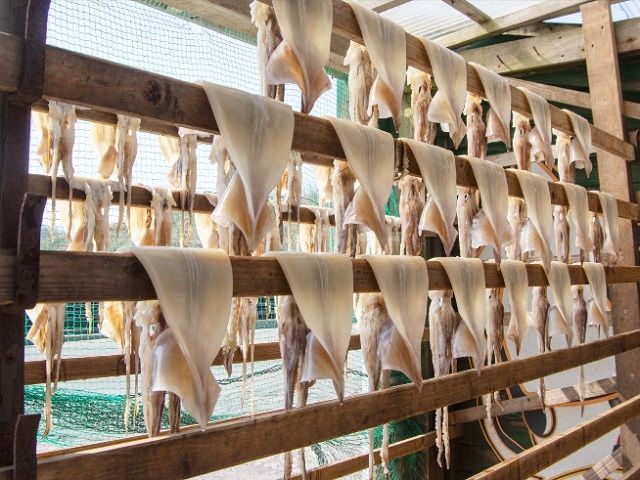 わさおの店の炭火焼きいか 4パック 200g以上×4枚 魚貝類 イカ 加工食品 