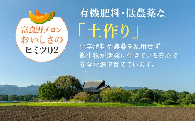 【2026年夏発送】※訳あり 富良野 メロン 約8kg 〈3玉～8玉入り〉メロン フルーツ 果物