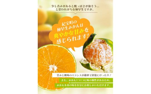 みかん 【先行予約】 選べる容量 訳あり 極早生温州みかん 約4kg 6.5㎏ 10kg ＋痛み保証分 2S～3L サイズおまかせ 【2026年9月下旬から10月中旬までに順次発送予定】 / 家庭用 ご家庭用 訳アリ わけあり ミカン 蜜柑 柑橘 果物 くだもの フルーツ 極早生 温州 夏みかん【njb691A_cho】