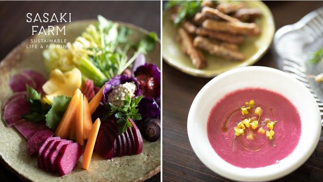 [5回お届け 5月・7月・9月・11月・3月 定期便]〈自然栽培〉佐々木ファーム 旬の野菜詰め合わせ ～循環セット～ 厳選野菜7-10品目程度 先行予約 直送 北海道 洞爺湖町