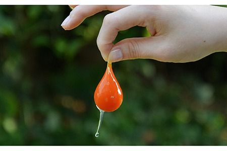 【 つまんでご 卵 】糸島 ロールケーキ & マカロン 5個 詰め合わせ セット《糸島》【緑の農園】卵 たまご 菓子 焼き菓子 ケーキ [AGA003] ロールケーキ マカロン 洋菓子 八女茶 あまおう ココア チョコ バレンタイン