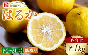 訳あり はるか 1kg M～2Lサイズおまかせ 高石垣ファーム   K017