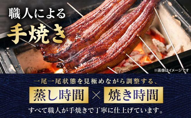 【先行予約】 うなぎの蒲焼 2尾 （合計350g以上） 鰻 うなぎ ウナギ 国産 冷凍 うな重 蒲焼 丑の日 熊本県 八代市 【2026年9月中旬より順次発送】