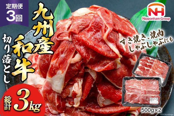 日本ハム 牛肉 3回 定期便 九州産 和牛 切り落とし 500g ×2p 計 1kg [日本ハムマーケティング 宮崎県 日向市 452061040] すき焼き しゃぶしゃぶ 赤身 小分け 冷凍 訳あり