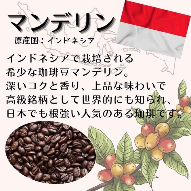 【定期便】自家焙煎 人気珈琲豆 3種セット（6か月）