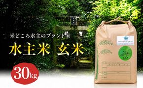 令和8年産新米エコファーマー認定農家の地域ブランド米(水主米) 玄米30kg お米 白米 ライス ご飯 ブランド米 銘柄米 お弁当 おにぎり 食卓 産地直送 主食 炭水化物 和食 国産 日本産 エコファーマー認定農家 