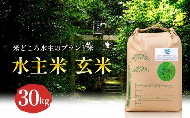 令和8年産新米エコファーマー認定農家の地域ブランド米(水主米) 玄米30kg お米 白米 ライス ご飯 ブランド米 銘柄米 お弁当 おにぎり 食卓 産地直送 主食 炭水化物 和食 国産 日本産 エコファーマー認定農家 