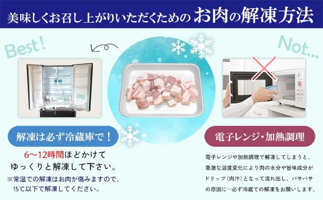 【美ら島あぐー】　ヒレ　1500g【300ｇ×5パック】 あぐー お得 沖縄 大宜味村 豚肉 小分け 国産 おつまみ こだわり ぶた ご当地 加工品 おいしい 美味しい 取り寄せ おきなわ okinawa 冷凍 まろやか 旨味