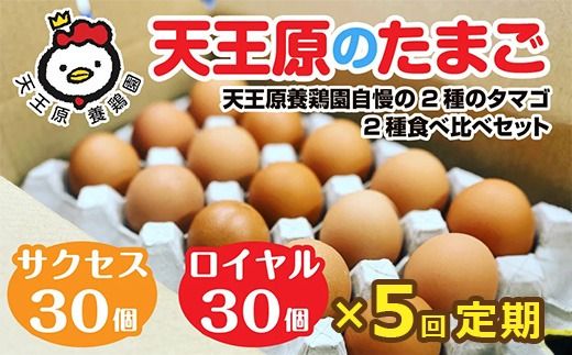 【定期便】5回定期【天王原のたまご】 サクセス卵30個/ロイヤル卵30個 【5回定期便 セット たまご 卵 玉子 タマゴ 濃厚 食べ比べ ハリ 弾力 ボリューム 甘味 旨味 卵黄 風味 生 コク 甘味 卵かけご飯 卵焼き 目玉焼き オムレツ 茶碗蒸し お菓子作り パンの材料】