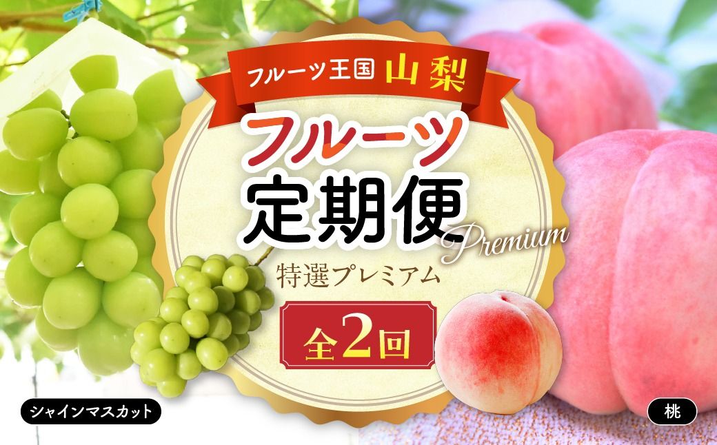 [✩先行予約✩2025年/令和7年発送分][大人気]プレミアムフルーツ定期便 AD-219