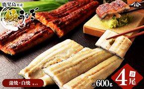 楠田の極うなぎ 蒲焼き2尾・白焼き2尾 150g以上×4尾(計600g以上) b6-008