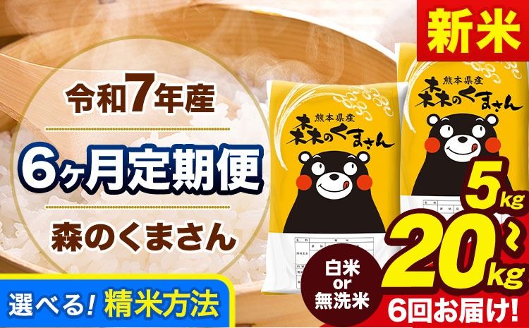 [6ヶ月定期便]令和7年産 無洗米 も選べる 森のくまさん 5kg 10kg 15kg 20kg [11月から出荷開始] 熊本県産 無洗米 白米 精米 ひの 米 こめ ふるさとのうぜい コメ 熊本米 定期便---mk7tei_75000_5kg__nov6_gkt_h---