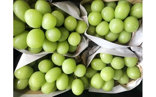 【夏季限定】No.79　2kg　シャインマスカット　摘みたて　産地直送　山梨県産 Amazon.co.jp: シャインマスカット 山梨県産 2～3房入 約1.2kg