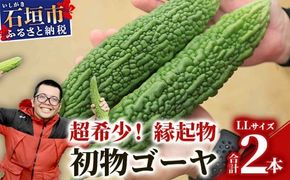 【予約受付】「最優秀賞」受賞の農家！希少品！贈答用「初物ゴーヤ」《2025年12月上旬～2026年2月中旬頃まで順次発送》【 ふるさと納税 沖縄県石垣市 沖縄 石垣 石垣島 希少 贈答 初物 ゴーヤ 離島のいいもの 沖縄いいもの石垣島 】OI-1