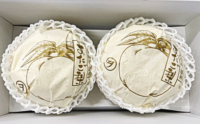 梨 2026年 先行予約 あたご梨 2玉（約1.7kg） 化粧箱入り なし ナシ 岡山県産 国産 フルーツ 果物 ギフト 