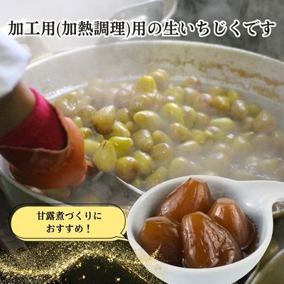 期間限定 加工用 生いちじく 6kg（2kg×3) 秋田県にかほ市産 北限のいちじく ブルンスウィッグ