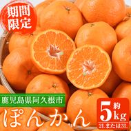 ＜先行予約受付中！2026年12月下旬以降順次発送予定＞数量限定！鹿児島県産 手詰めぽんかん(計約5kg・2L or 3L) 旬 フルーツ 果物 くだもの ポンカン 早生系統 デザート ノーワックス 阿久根市産 期間限定 数量限定 手詰 手作業【三笠農業生産】akn051-01