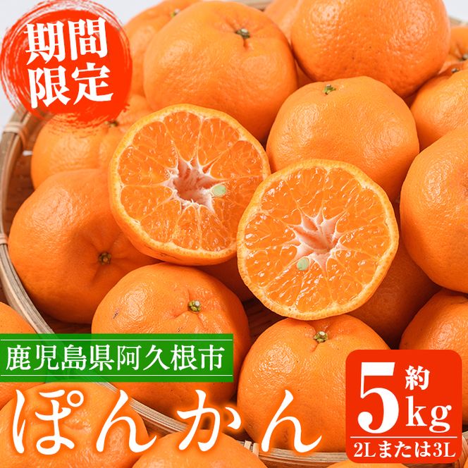 ＜先行予約受付中！2026年12月下旬以降順次発送予定＞数量限定！鹿児島県産 手詰めぽんかん(計約5kg・2L or 3L) 旬 フルーツ 果物 くだもの ポンカン 早生系統 デザート ノーワックス 阿久根市産 期間限定 数量限定 手詰 手作業【三笠農業生産】akn051-01