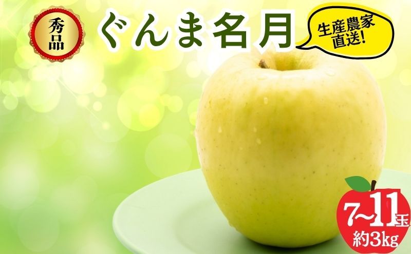 [レビューCP実施中][2026年11月発送]ぐんま名月 秀品 約3kg 7〜11玉 りんご 果物 信州 長野