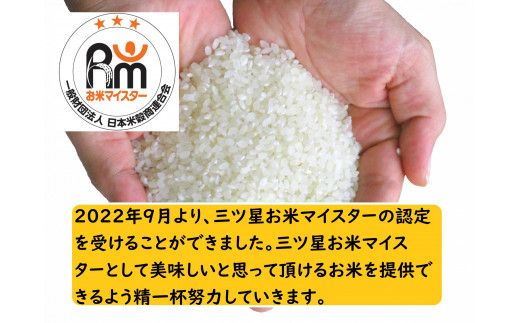 令和7年産 茨城ひとめぼれ 10kg 5kg×2袋 ひとめぼれ 白米 精米 ごはん お米 国産 茨城県産 守谷市 送料無料