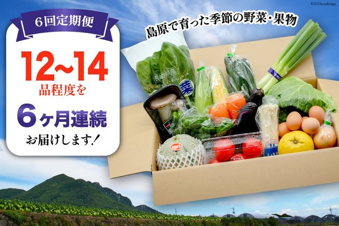マミー様 野菜セット果物追加 卵1 BF058 【6回定期便】旬の野菜・フルーツ (12〜14品目)・卵 (6個