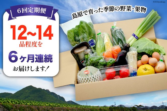 【CF01】BF058 【6回定期便】旬の野菜・フルーツ (12〜14品目)・卵 (6個) おまかせ セット【 野菜 果物 卵 やさい くだもの 果物 タマゴ たまご 詰め合わせ 江戸屋 長崎県 島原市 】