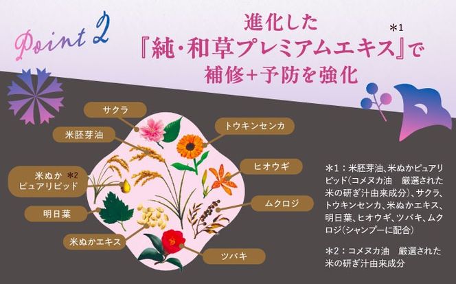 いち髪 なめらかスムースケア シャンプー＆コンディショナー 詰替用 各5袋セット 日用品 シャンプー 大容量 愛西市 / クラシエホームプロダクツ 【配送不可：離島】[AEBE003]