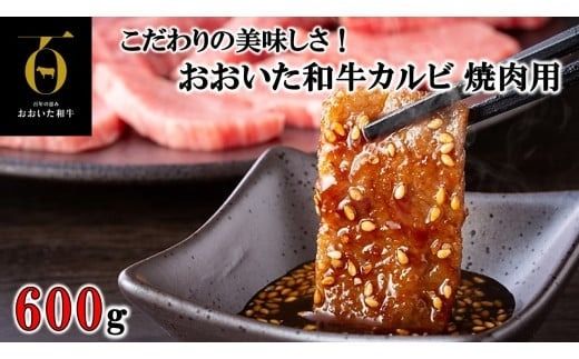 y啪sz̔IaJr ēp 600g_2579R